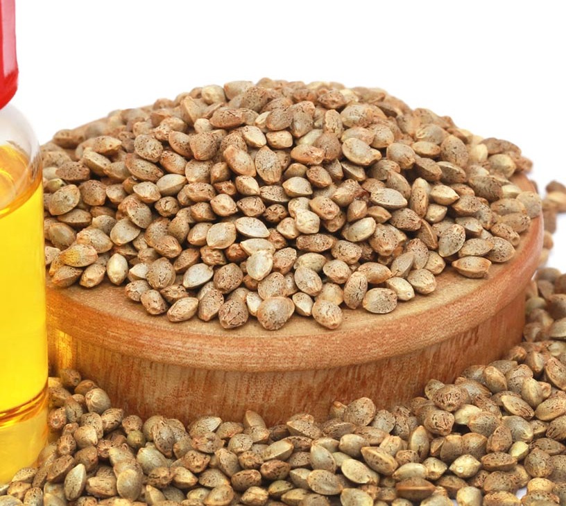 Cannabidiol (CBD) Oil Market Analysis, Size, and Forecast 2026-2030: North America (US, Canada, and Mexico), APAC (China, Japan, and India), Europe (Germany, UK, and France), South America (Brazil and Argentina), Middle East and Africa (Israel, South Africa, and UAE), and Rest of World (ROW)