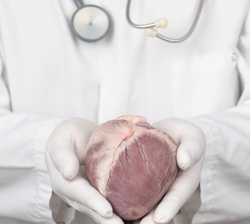 Heart Transplantation Therapeutics Market Analysis, Size, and Forecast 2026-2030: North America (US, Canada, and Mexico), Europe (Germany, France, and UK), APAC (China, Japan, and India), South America (Brazil, Argentina, and Colombia), Middle East and Africa (Saudi Arabia, South Africa, and Israel), Asia, Rest of World (ROW)