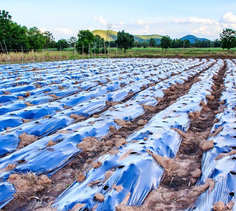 Agricultural Films Market Analysis, Size, and Forecast 2026-2030: APAC (China, India, and Japan), North America (US, Canada, and Mexico), Europe (Spain, France, and Germany), South America (Brazil and Argentina), Middle East and Africa (South Africa, UAE, and Turkey), and Rest of World (ROW)