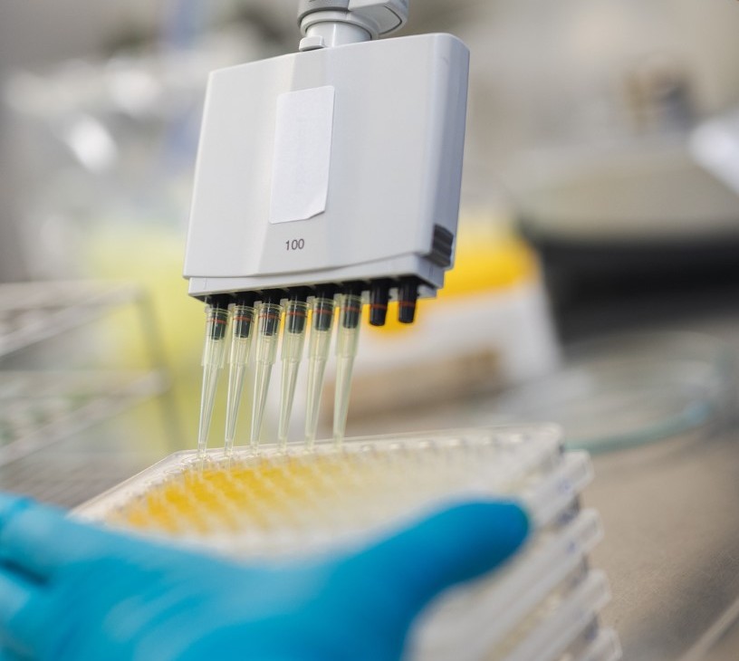 Biopharmaceutical Analytical Testing Services Market Analysis, Size, and Forecast 2026-2030: North America (US, Canada, and Mexico), Europe (Germany, UK, and France), APAC (China, Japan, and India), South America (Brazil and Argentina), Middle East and Africa (Saudi Arabia, UAE, and South Africa), and Rest of World (ROW)