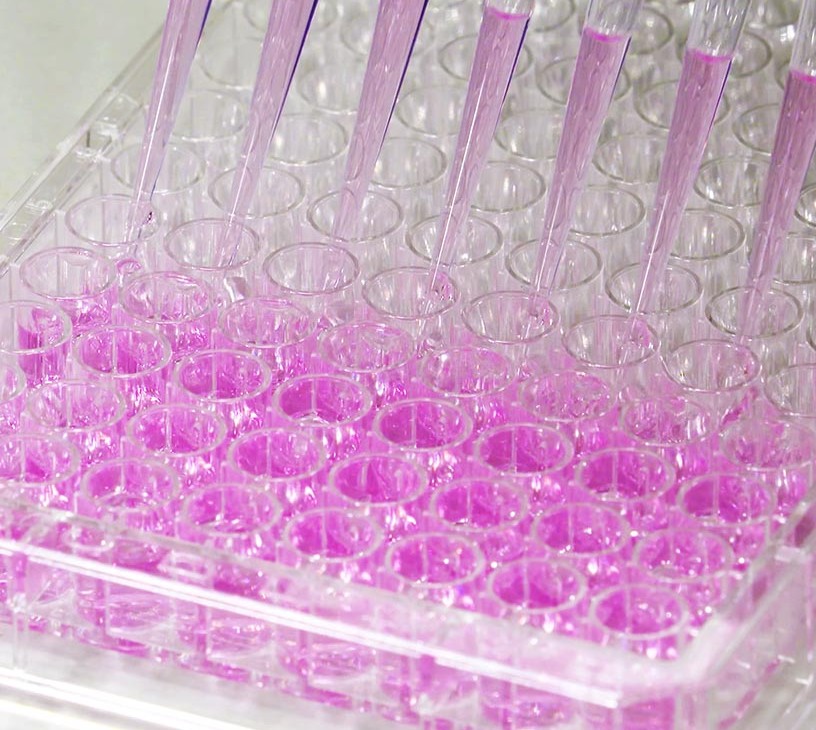 Gene Panel Market Analysis, Size, and Forecast 2026-2030: North America (US, Canada, and Mexico), Europe (Germany, UK, and France), APAC (China, India, and Japan), South America (Brazil, Argentina, and Colombia), Middle East and Africa (Saudi Arabia, UAE, and Turkey), Asia, Rest of World (ROW)