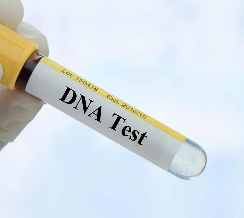 DNA Sequencing Market Analysis, Size, and Forecast 2026-2030: North America (US, Canada, and Mexico), Europe (UK, Germany, and France), APAC (Japan, China, and India), South America (Brazil, Argentina, and Colombia), Middle East and Africa (Saudi Arabia, UAE, and Turkey), Asia, Rest of World (ROW)