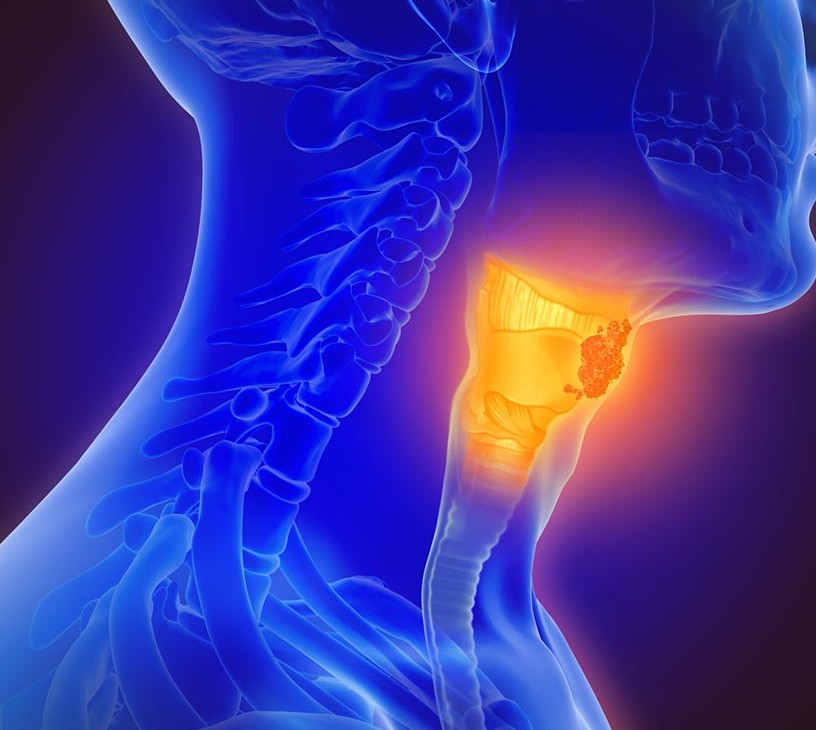 Upper Respiratory Tract Infection Treatment Market Analysis, Size, and Forecast 2026-2030: North America (US, Canada, and Mexico), Europe (Germany, UK, and France), Asia (China, India, and Japan), South America (Brazil, Argentina, and Colombia), Middle East and Africa (Saudi Arabia, UAE, and Turkey), Rest of World (ROW)