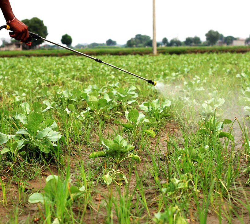 Agricultural Pesticides Market Analysis, Size, and Forecast 2026-2030: APAC (China, Japan, and India), South America (Brazil and Argentina), Europe (Germany, France, and UK), North America (US, Canada, and Mexico), Middle East and Africa (South Africa, Saudi Arabia, and Turkey), and Rest of World (ROW)