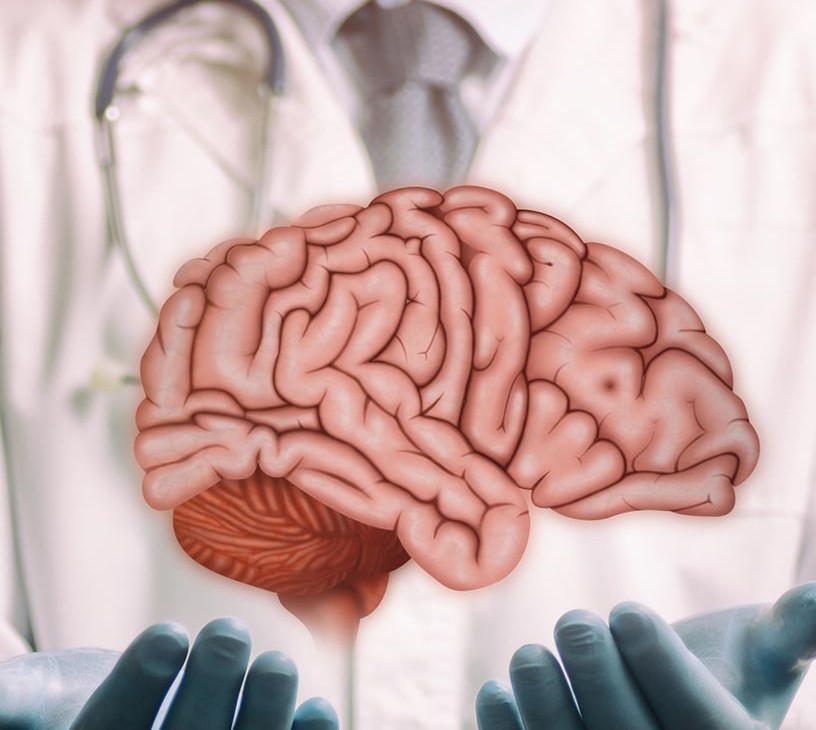 Embolization Coil Market Analysis, Size, and Forecast 2026-2030: North America (US, Canada, and Mexico), Europe (Germany, UK, and France), APAC (China, Japan, and India), South America (Brazil, Argentina, and Colombia), Middle East and Africa (South Africa, Saudi Arabia, and UAE), Asia, Rest of World (ROW)