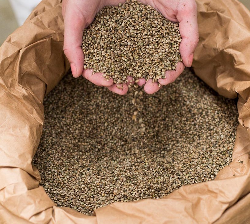 Industrial Hemp Market Analysis, Size, and Forecast 2026-2030: APAC (China, India, and Japan), North America (US, Canada, and Mexico), Europe (France, Germany, and UK), South America (Brazil and Argentina), Middle East and Africa (South Africa, Turkey, and UAE), and Rest of World (ROW)