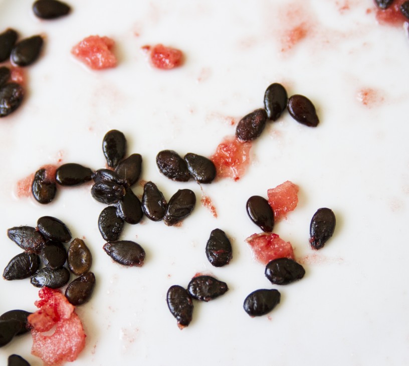 Watermelon Seeds Market Analysis, Size, and Forecast 2026-2030: APAC (China, India, and Japan), Europe (Spain, Germany, and Italy), North America (US, Canada, and Mexico), Middle East and Africa (Turkey, Saudi Arabia, and South Africa), South America (Brazil and Argentina), and Rest of World (ROW)