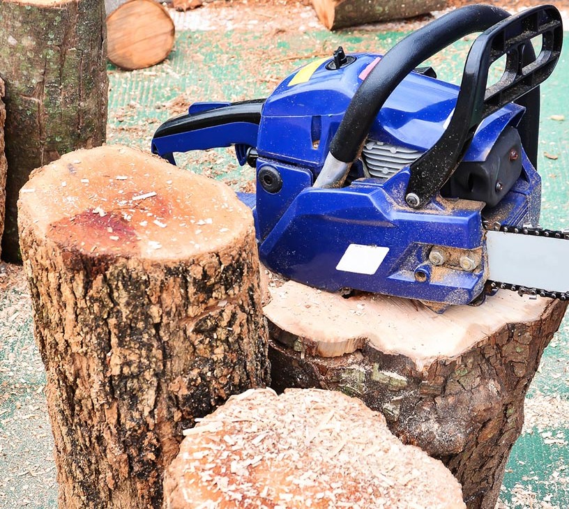 Chainsaw Market Analysis, Size, and Forecast 2026-2030: North America (US, Canada, and Mexico), Europe (Germany, France, and UK), APAC (China, Japan, and India), South America (Brazil and Argentina), Middle East and Africa (Turkey, South Africa, and Saudi Arabia), and Rest of World (ROW)