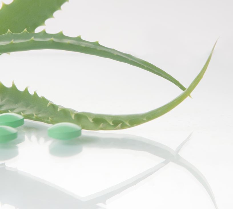 Botanical And Plant-derived Drugs Market Analysis, Size, and Forecast 2026-2030: APAC (China, India, and Japan), Europe (Germany, France, and UK), North America (US, Canada, and Mexico), South America (Brazil and Argentina), Middle East and Africa (Saudi Arabia, UAE, and Turkey), Asia, Rest of World (ROW)