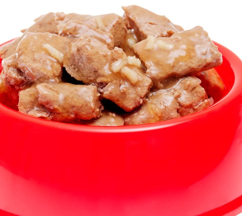 US Fresh Pet Food Market Analysis, Size, and Forecast 2026-2030