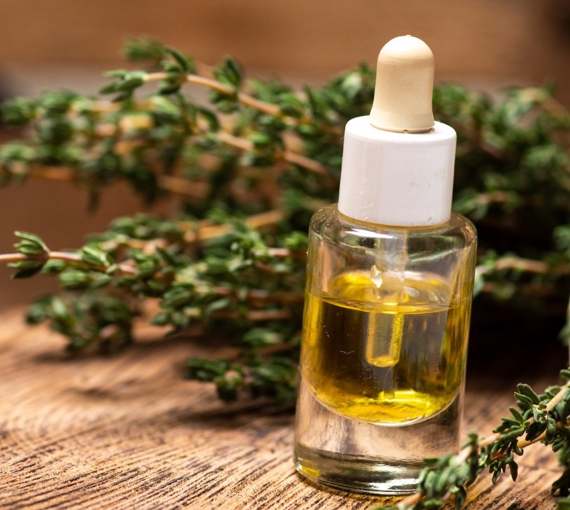 Botanical Extracts Market Analysis, Size, and Forecast 2026-2030: North America (US, Canada, and Mexico), Europe (Germany, UK, and France), APAC (China, Japan, and India), South America (Brazil, Argentina, and Colombia), Middle East and Africa (Saudi Arabia, UAE, and South Africa), and Rest of World (ROW)