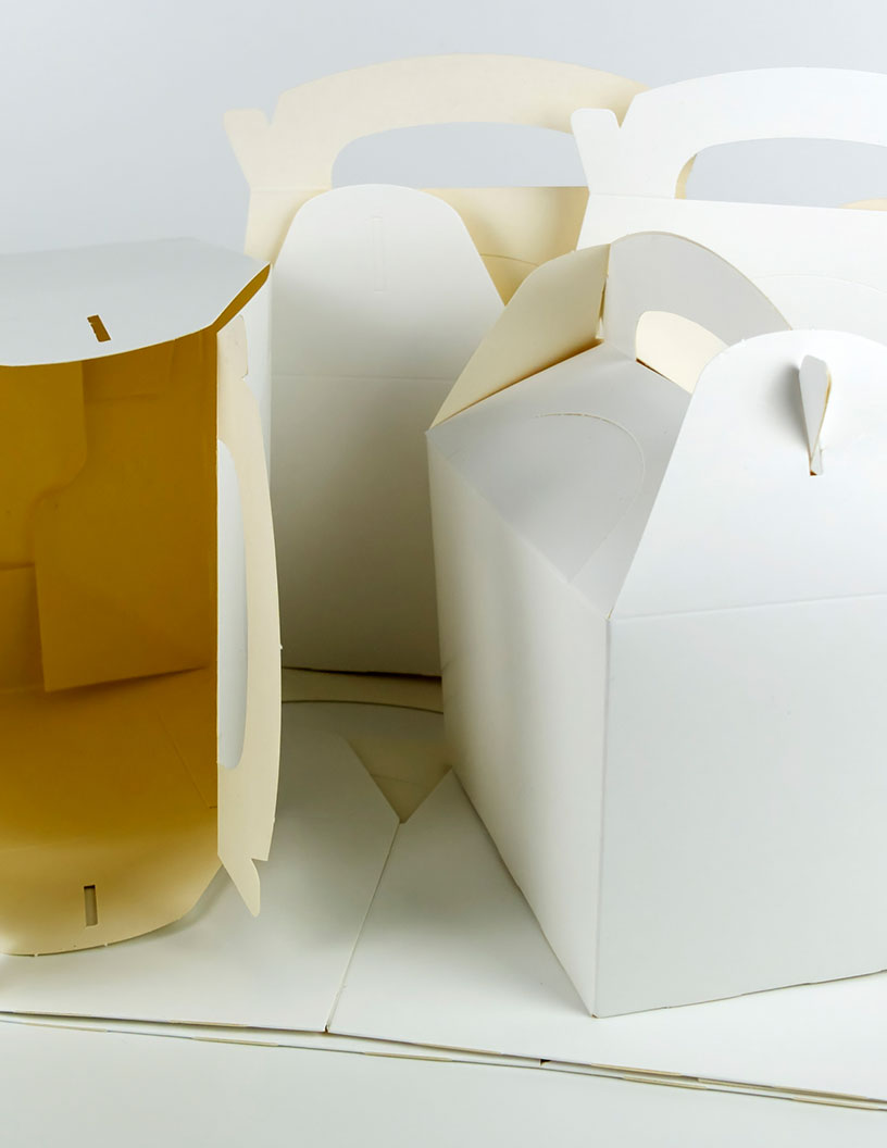 Folding Carton Market Analysis, Size, and Forecast 2025-2029 : APAC (China, India, Japan, South Korea, Indonesia, and Australia), North America (US, Canada, and Mexico), Europe (Germany, France, UK, Italy, Spain, and The Netherlands), Middle East and Africa (Turkey, UAE, South Africa, and Egypt), South America (Brazil, Argentina, and Colombia), and Rest of World (ROW)