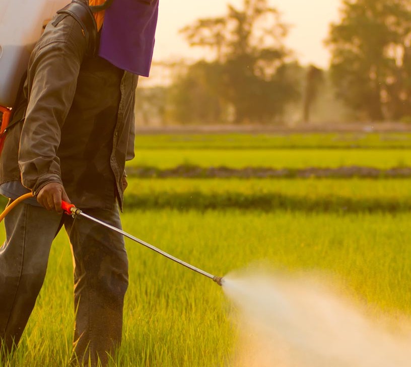India Pesticide Market Analysis, Size, and Forecast 2026-2030