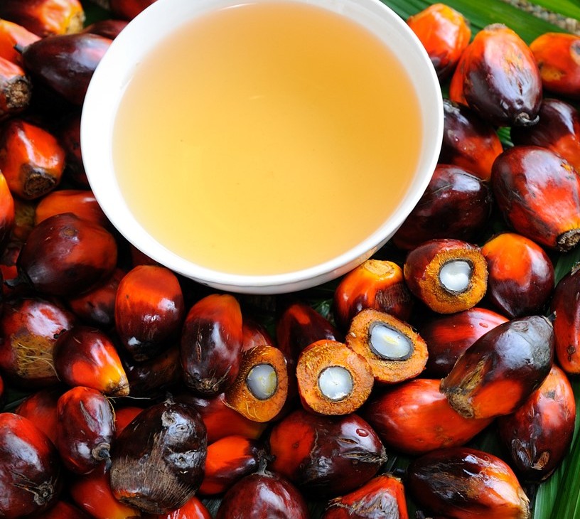 Palm Oil Market Analysis, Size, and Forecast 2026-2030: APAC (Indonesia, India, and China), Middle East and Africa (Saudi Arabia, South Africa, and UAE), Europe (Germany, The Netherlands, and France), North America (US, Canada, and Mexico), South America (Brazil, Argentina, and Colombia), and Rest of World (ROW)