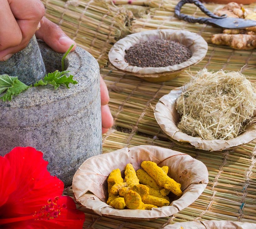 Ayurveda Market Analysis, Size, and Forecast 2026-2030: APAC (India, China, and Japan), North America (US, Canada, and Mexico), Europe (UK, Germany, and France), South America (Brazil), Middle East and Africa (South Africa, UAE, and Saudi Arabia), Asia, Rest of World (ROW)