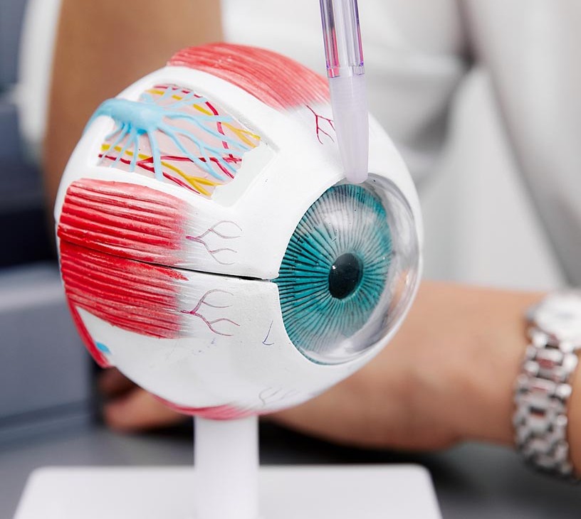 Artificial Retina Market Analysis, Size, and Forecast 2026-2030: North America (US, Canada, and Mexico), Europe (Germany, UK, and France), APAC (China, Japan, and India), South America (Brazil), Middle East and Africa (Saudi Arabia, South Africa, and UAE), Asia, Rest of World (ROW)