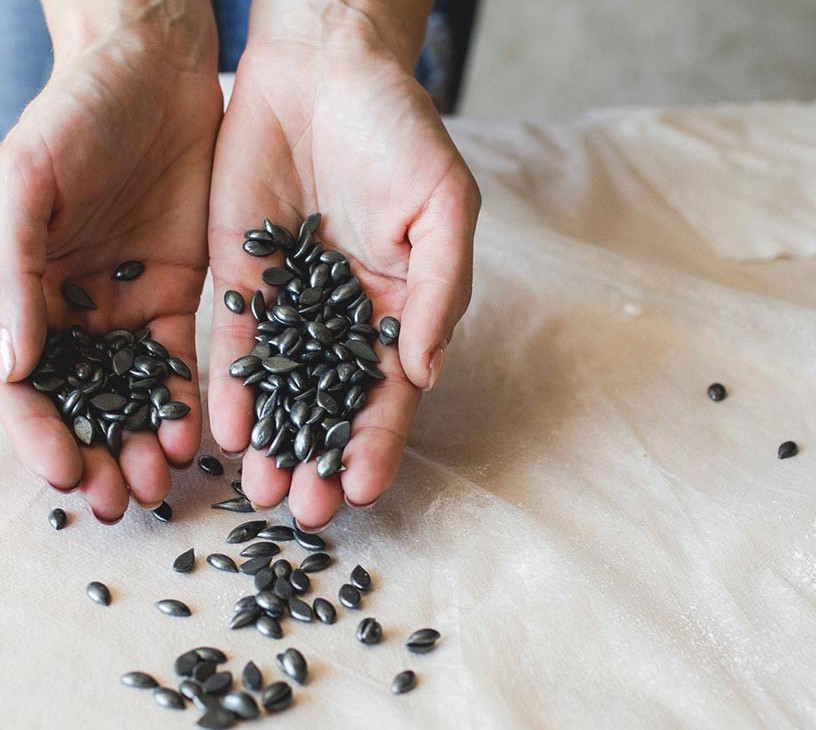 Polyphenylene Market Analysis, Size, and Forecast 2026-2030: APAC (China, India, and Japan), North America (US, Canada, and Mexico), Europe (Germany, UK, and France), South America (Brazil and Argentina), Middle East and Africa (Saudi Arabia, UAE, and South Africa), and Rest of World (ROW)