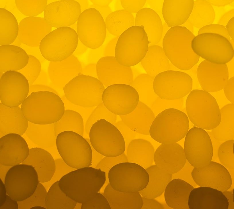 Elastomer Coated Fabric Market Analysis, Size, and Forecast 2026-2030: North America (US, Canada, and Mexico), Europe (Germany, Italy, and UK), APAC (China, Japan, and South Korea), Middle East and Africa (UAE, Saudi Arabia, and South Africa), South America (Brazil and Argentina), and Rest of World (ROW)