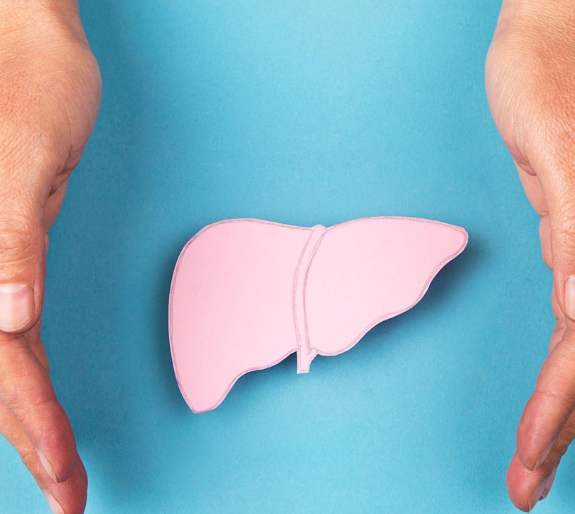 Human Liver Models Market Analysis, Size, and Forecast 2026-2030: North America (US, Canada, and Mexico), Europe (Germany, UK, and France), APAC (China, Japan, and India), South America (Brazil and Argentina), Middle East and Africa (Saudi Arabia, South Africa, and UAE), Asia, Rest of World (ROW)