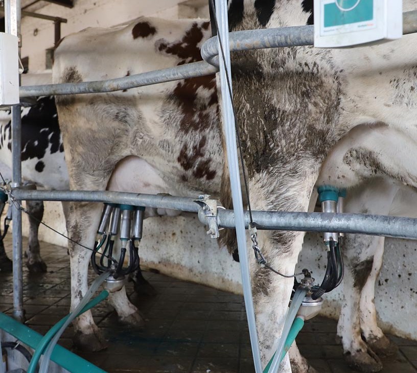 Automatic Milking Machines Market Analysis, Size, and Forecast 2026-2030: Europe (Germany, The Netherlands, and France), North America (US, Canada, and Mexico), APAC (China, India, and Japan), South America (Brazil and Argentina), Middle East and Africa (Saudi Arabia, UAE, and South Africa), and Rest of World (ROW)