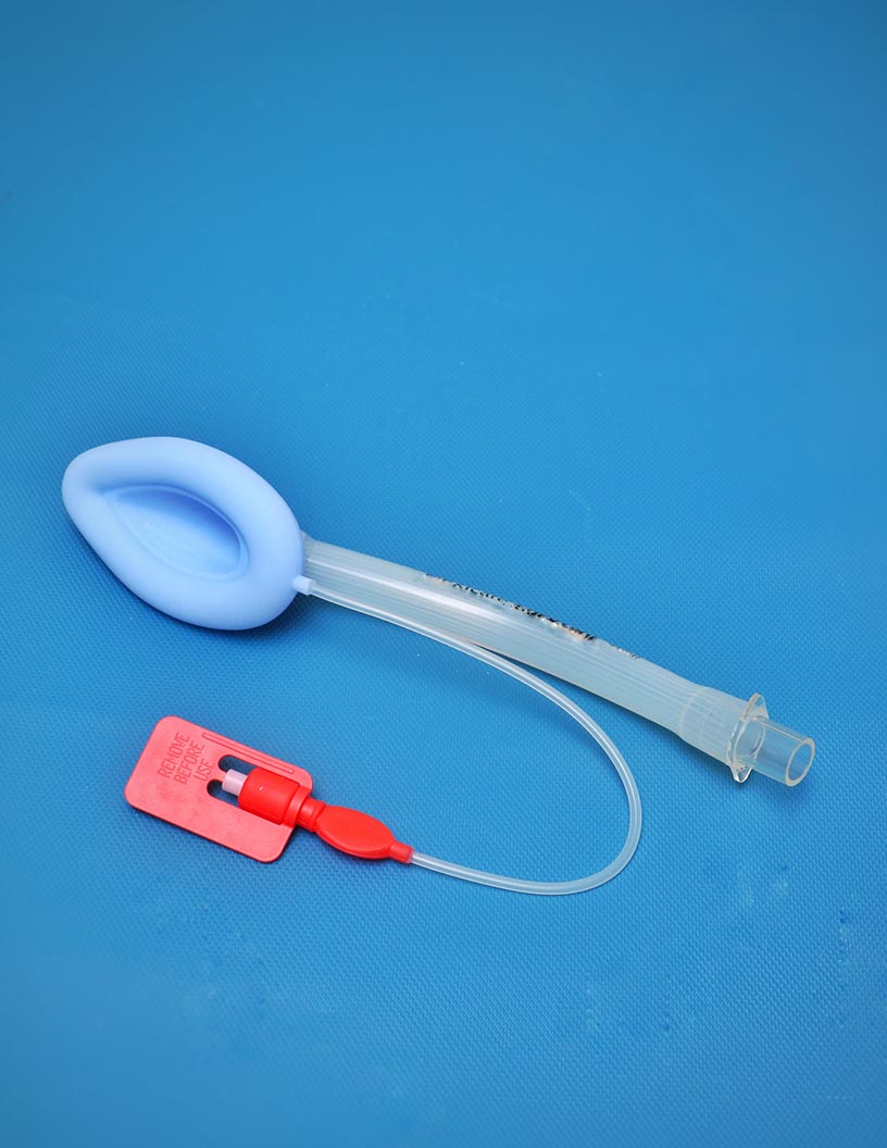 Laryngeal Airway Mask Market: Segmentation by Geography