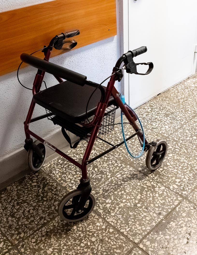 Clinical Rollators Market: Segmentation by Geography