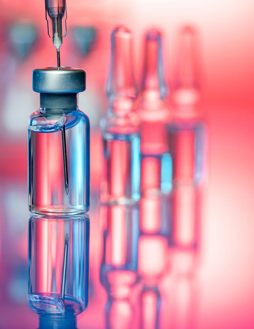 Porcine Vaccine Market: Segmentation by Geography