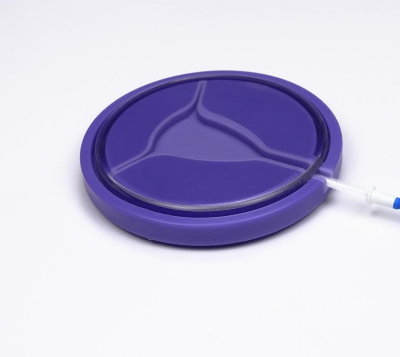 Cytology Market Analysis, Size, and Forecast 2026-2030: North America (US, Canada, and Mexico), Europe (Germany, UK, and France), APAC (China, India, and Japan), South America (Brazil, Argentina, and Colombia), Middle East and Africa (South Africa, UAE, and Turkey), Asia, Rest of World (ROW)