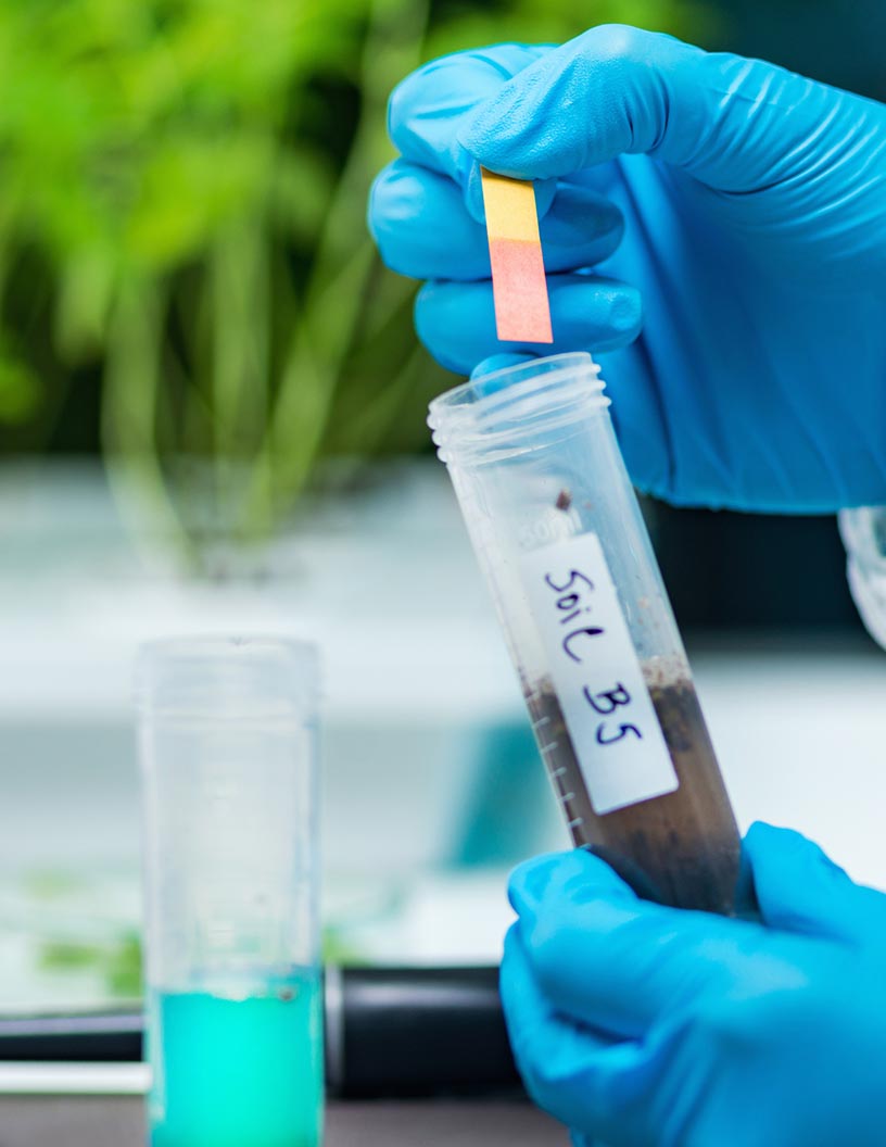 Environmental Testing Market Analysis, Size, and Forecast 2025-2029 : North America (US, Canada, and Mexico), Europe (Germany, UK, France, Italy, The Netherlands, and Spain), APAC (China, Japan, India, South Korea, Australia, and Indonesia), South America (Brazil, Argentina, and Chile), Middle East and Africa (UAE, South Africa, and Egypt), and Rest of World (ROW)