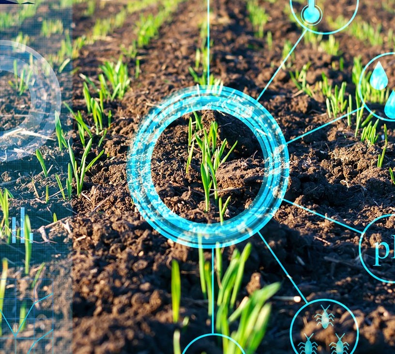 Agricultural Adjuvant Market Analysis, Size, and Forecast 2026-2030: North America (US, Canada, and Mexico), Europe (Germany, France, and UK), APAC (China, India, and Japan), South America (Brazil, Argentina, and Chile), Middle East and Africa (South Africa, Saudi Arabia, and Egypt), and Rest of World (ROW)