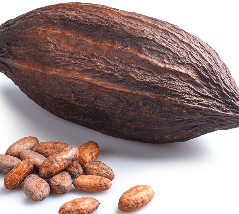Cocoa Beans Market Analysis, Size, and Forecast 2026-2030: Europe (Germany, UK, and France), North America (US, Canada, and Mexico), APAC (China, India, and Japan), South America (Brazil, Argentina, and Colombia), Middle East and Africa (South Africa, Saudi Arabia, and UAE), and Rest of World (ROW)