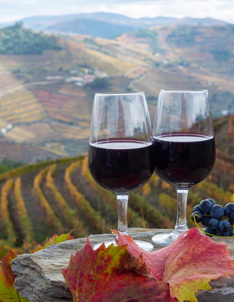 Port Wine Market Analysis, Size, and Forecast 2025-2029: Europe (Germany, UK, and France), North America (US, Canada, and Mexico), APAC (China, Japan, and India), South America (Brazil and Argentina), Middle East and Africa (Saudi Arabia, UAE, and South Africa), and Rest of World (ROW)