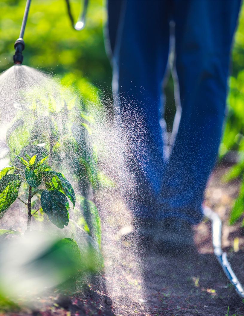 Organic Pesticides Market Analysis, Size, and Forecast 2025-2029: North America (US, Canada, and Mexico), Europe (Germany, UK, and France), APAC (China, Japan, and India), South America (Brazil, Argentina, and Colombia), Middle East and Africa (Saudi Arabia, UAE, and South Africa), and Rest of World (ROW)