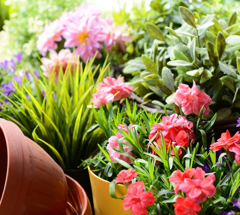 Vietnam Floriculture Market Analysis, Size, and Forecast 2026-2030