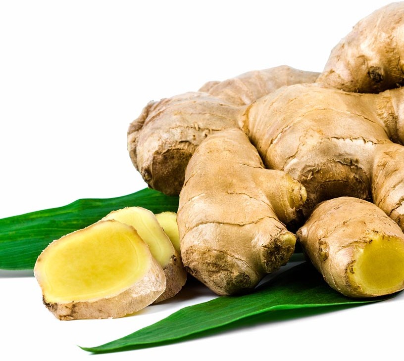 Ginger Market Analysis, Size, and Forecast 2026-2030: APAC (India, China, and Indonesia), Middle East and Africa (Saudi Arabia, UAE, and South Africa), Europe (Germany, The Netherlands, and UK), North America (US, Canada, and Mexico), South America (Brazil and Argentina), and Rest of World (ROW)