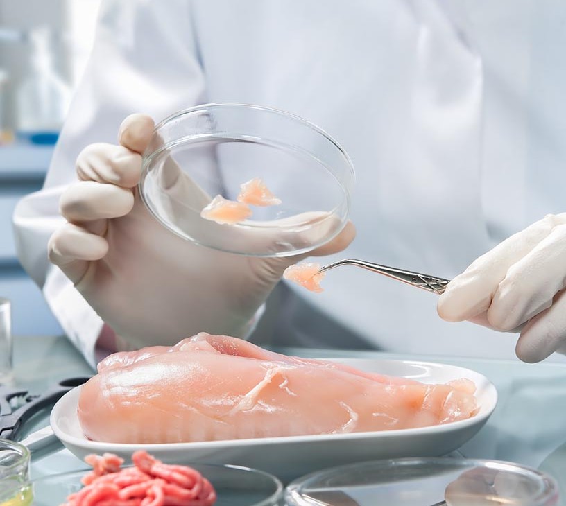 Food Pathogen Testing Market Analysis, Size, and Forecast 2026-2030: North America (US, Canada, and Mexico), Europe (Germany, UK, and France), APAC (China, India, and Japan), South America (Brazil, Argentina, and Colombia), Middle East and Africa (Saudi Arabia, UAE, and South Africa), Asia, Rest of World (ROW)