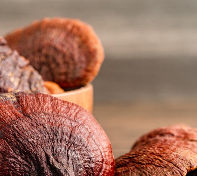 Reishi Mushroom Market Analysis, Size, and Forecast 2026-2030: APAC (China, Japan, and India), North America (US, Canada, and Mexico), Europe (Germany, UK, and France), South America (Brazil, Argentina, and Colombia), Middle East and Africa (Saudi Arabia, UAE, and South Africa), and Rest of World (ROW)