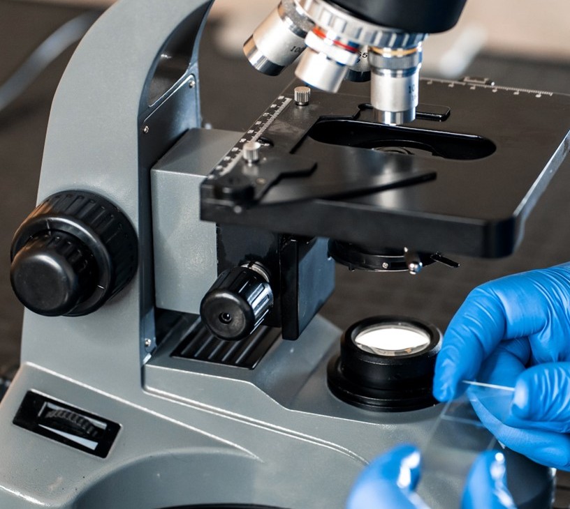 Biomaterial Testing Equipment Market Analysis, Size, and Forecast 2026-2030: North America (US, Canada, and Mexico), Europe (Germany, UK, and France), APAC (China, Japan, and India), South America (Brazil and Argentina), Middle East and Africa (Saudi Arabia, UAE, and South Africa), and Rest of World (ROW)