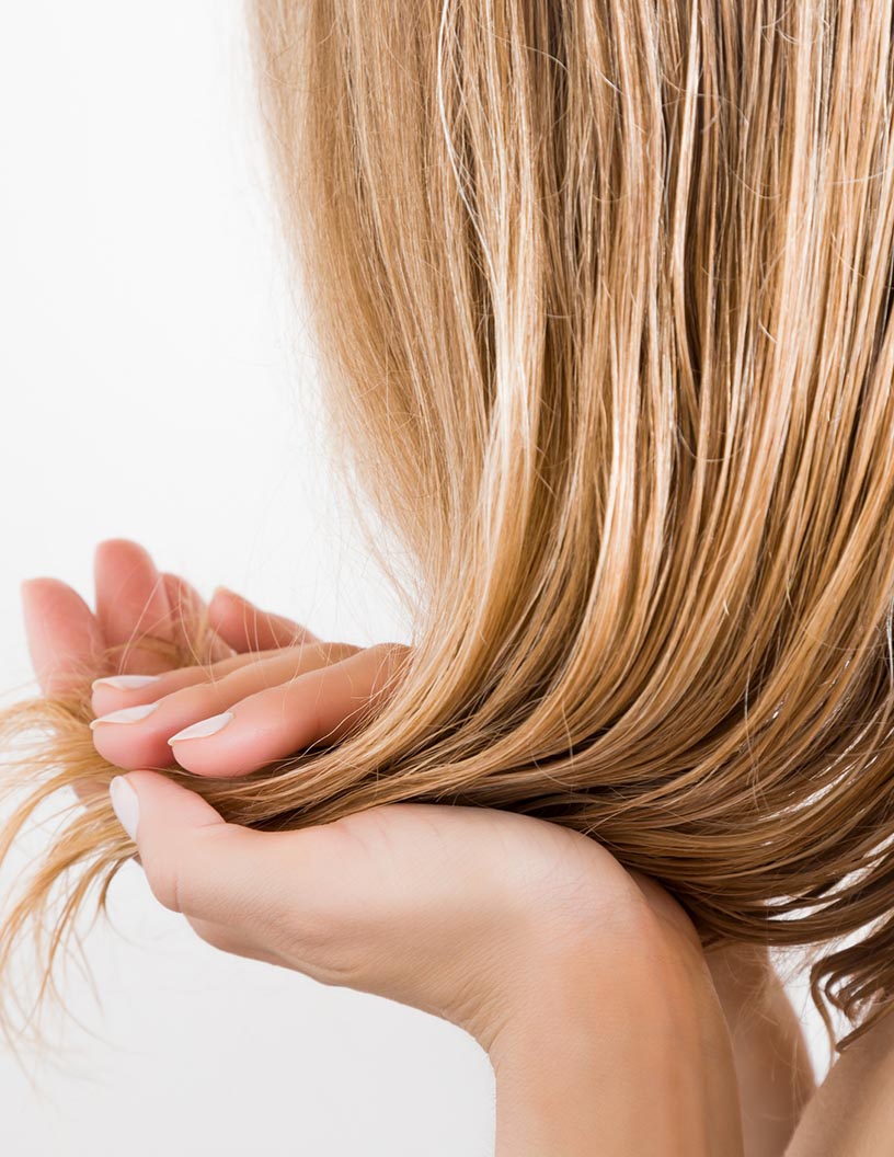 Hair Bond Multiplier Market Analysis, Size, and Forecast 2025-2029 : North America (US, Canada, and Mexico), Europe (Germany, Italy, France, UK, The Netherlands, and Spain), APAC (China, Japan, India, South Korea, Australia, and Indonesia), South America (Brazil, Argentina, and Colombia), Middle East and Africa (UAE, South Africa, and Turkey), and Rest of World (ROW)