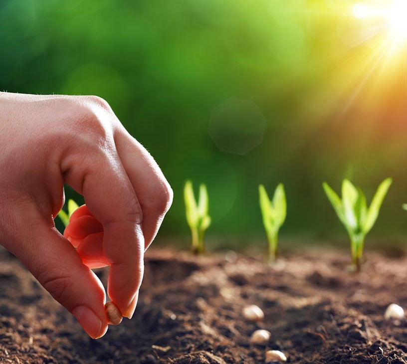 Bahrain Agriculture Market Analysis, Size, and Forecast 2026-2030