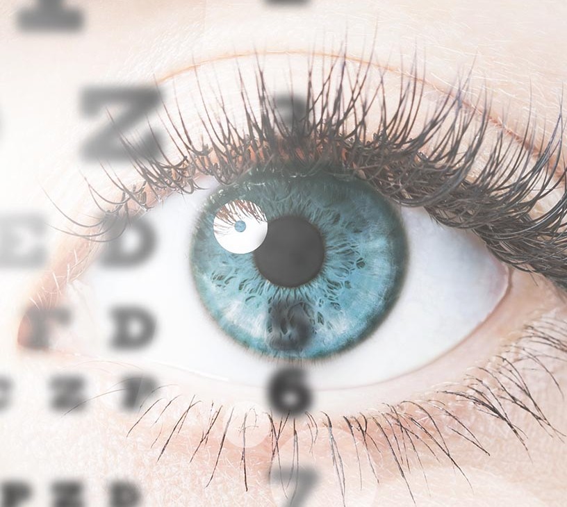 Europe Optometry Software Market Analysis, Size, and Forecast 2026-2030: Europe (Germany, UK, and France)