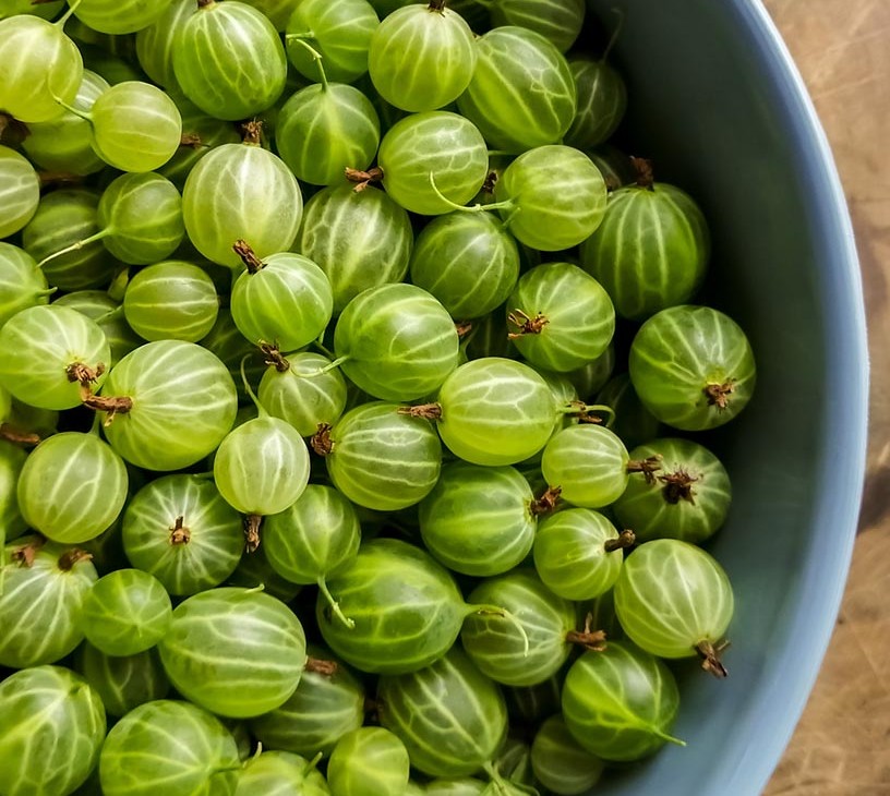 Gooseberry Products Market Analysis, Size, and Forecast 2026-2030: Europe (Germany, UK, and France), APAC (China, India, and Japan), North America (US, Canada, and Mexico), South America (Brazil and Argentina), Middle East and Africa (South Africa, UAE, and Saudi Arabia), and Rest of World (ROW)