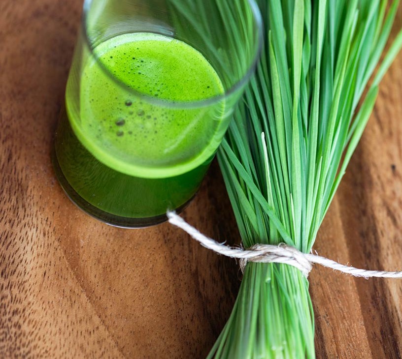 Wheatgrass Products Market Analysis, Size, and Forecast 2026-2030: North America (US, Canada, and Mexico), Europe (Germany, UK, and France), APAC (China, India, and Japan), South America (Brazil and Argentina), Middle East and Africa (South Africa, UAE, and Saudi Arabia), and Rest of World (ROW)