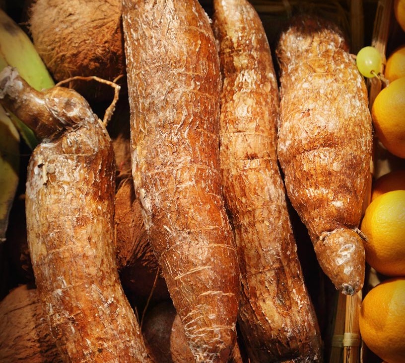 Cassava Market Analysis, Size, and Forecast 2026-2030: APAC (India, Indonesia, and China), Europe (Spain, The Netherlands, and Germany), North America (US, Canada, and Mexico), South America (Brazil and Argentina), Middle East and Africa (South Africa, Saudi Arabia, and UAE), and Rest of World (ROW)