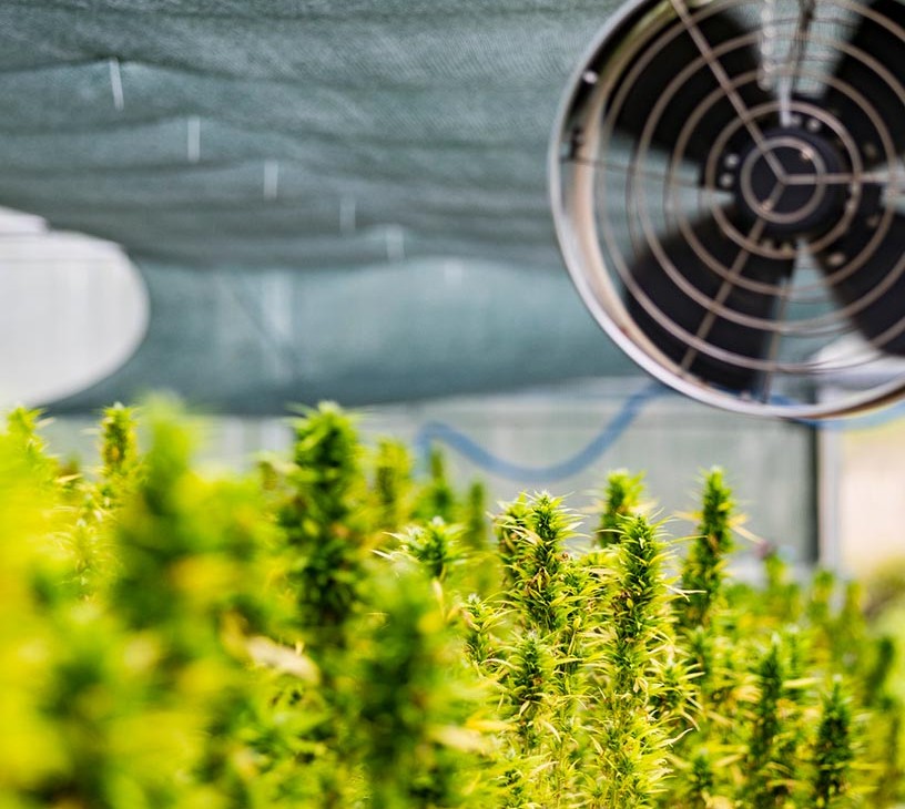 Agricultural Ventilation Fans Market Analysis, Size, and Forecast 2026-2030: APAC (China, Japan, and India), North America (US, Canada, and Mexico), Europe (Germany, UK, and France), Middle East and Africa (Saudi Arabia, UAE, and South Africa), South America (Brazil and Argentina), and Rest of World (ROW)