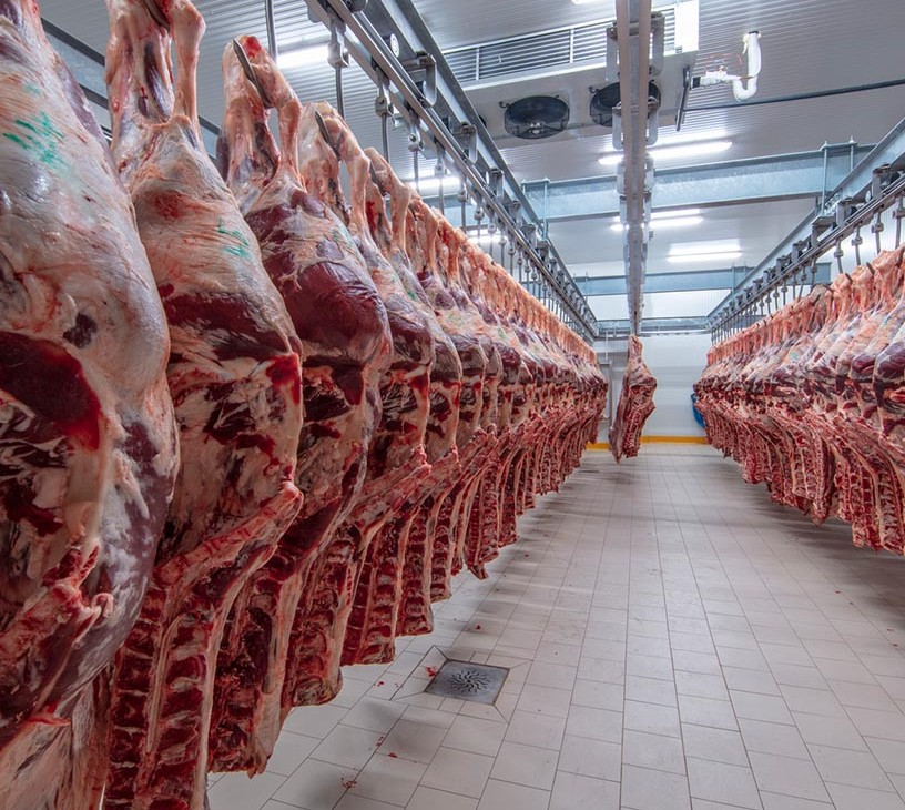 Slaughtering Equipment Market Analysis, Size, and Forecast 2026-2030: North America (US, Canada, and Mexico), APAC (China, Japan, and India), Europe (Germany, UK, and France), South America (Brazil and Argentina), Middle East and Africa (Saudi Arabia, UAE, and South Africa), and Rest of World (ROW)