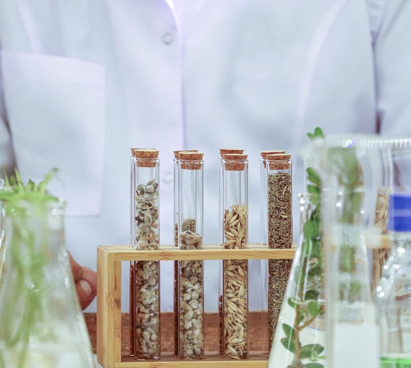 Genetically Modified (GMO) Food Market Analysis, Size, and Forecast 2026-2030: North America (US, Canada, and Mexico), APAC (China, India, and Japan), Europe (Germany, France, and UK), South America (Brazil, Argentina, and Colombia), Middle East and Africa (South Africa, UAE, and Saudi Arabia), and Rest of World (ROW)