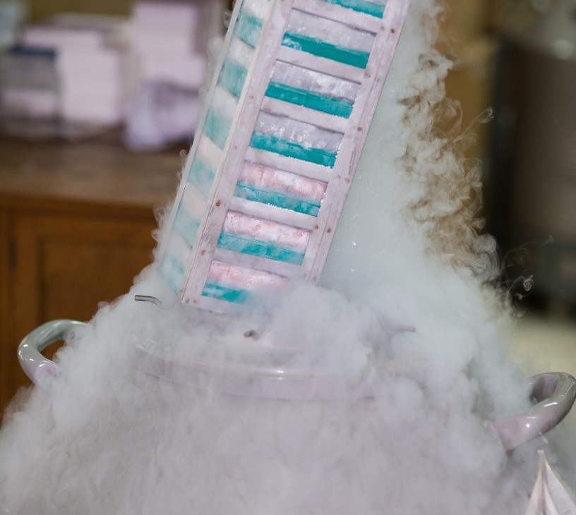 Cryocooler Market Analysis, Size, and Forecast 2026-2030: North America (US, Canada, and Mexico), Europe (Germany, UK, and France), APAC (China, Japan, and India), Middle East and Africa (Saudi Arabia, UAE, and South Africa), South America (Brazil and Argentina), and Rest of World (ROW)