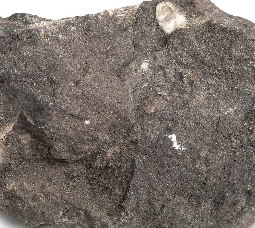 Phosphate Rock Market Analysis, Size, and Forecast 2026-2030: APAC (China, Japan, and India), North America (US, Canada, and Mexico), Europe (Germany, UK, and France), South America (Brazil and Argentina), Middle East and Africa (Saudi Arabia, Israel, and UAE), and Rest of World (ROW)