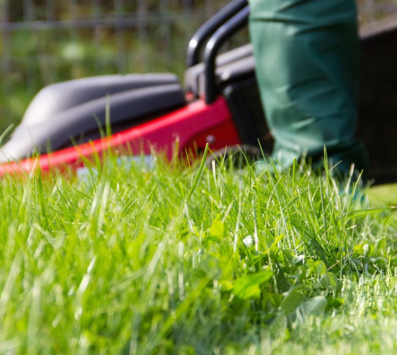 US Landscaping Services Market Analysis, Size, and Forecast 2026-2030